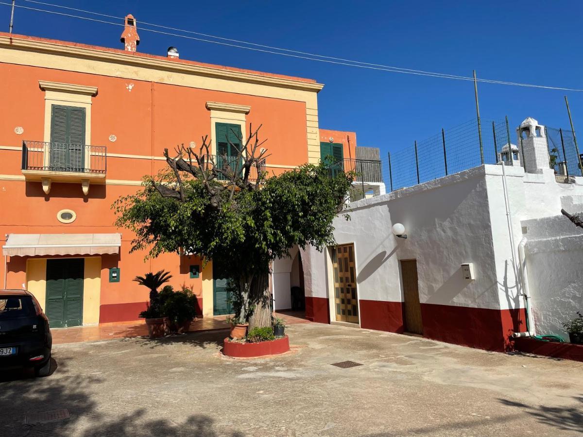 La Marinella * Faccia di Trippa di Monte