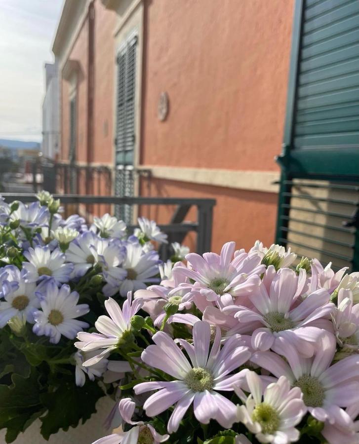 La Marinella Holiday home Faccia di Trippa di Monte